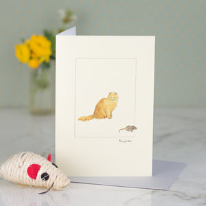 Ginger Scottish Fold Cat greetings card