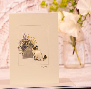 Birman Cat with pot of flowers greetings card