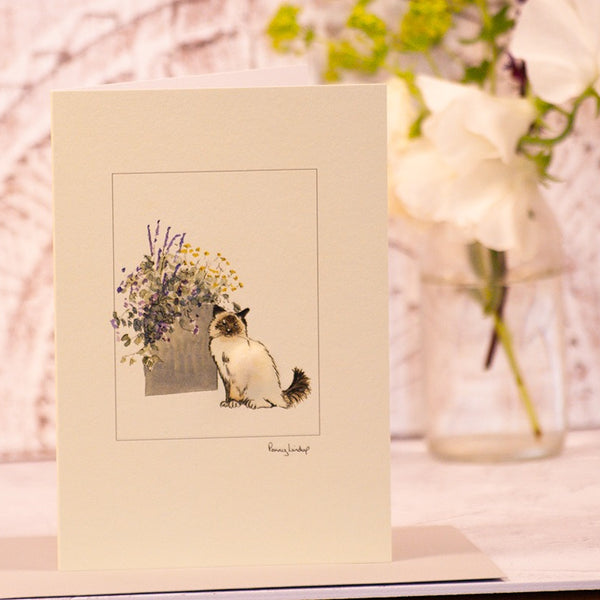 Birman Cat with pot of flowers greetings card