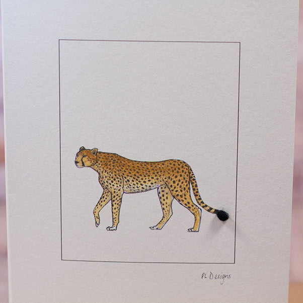 Cheetah greetings card