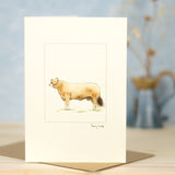Cow Simmental greetings card