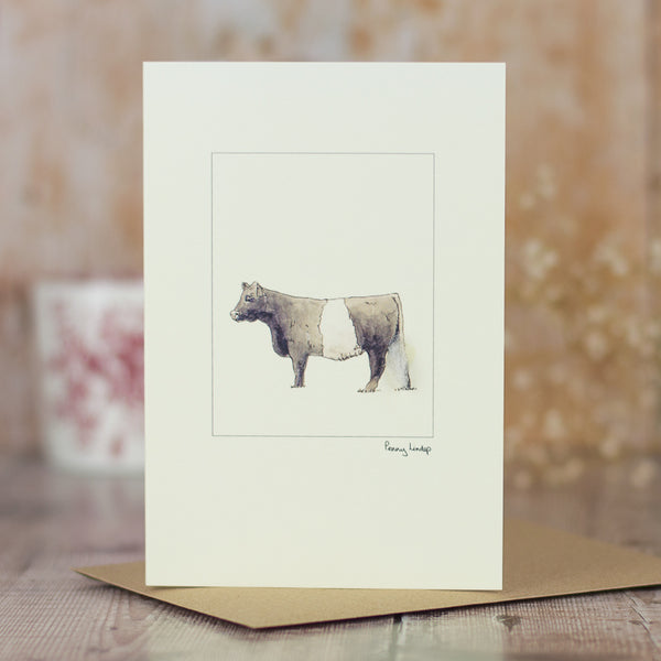 Cow greetings card - Belted Galloway