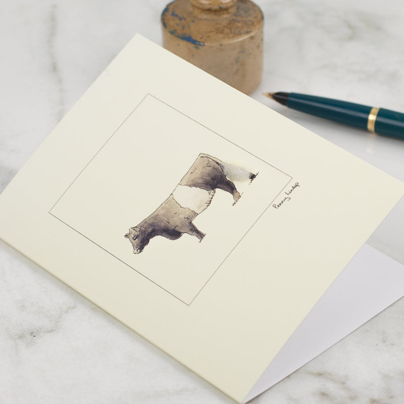 Cow greetings card - Belted Galloway