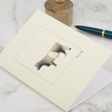 Cow greetings card - Belted Galloway