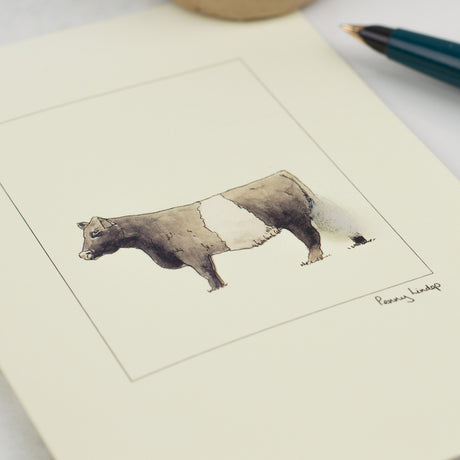 Cow greetings card - Belted Galloway