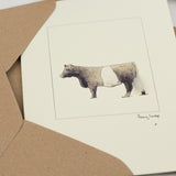Cow greetings card - Belted Galloway