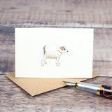 Boxed Collection of Mini Jack Russell cards - 8 cards
