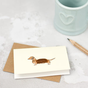 Boxed Collection of Mini Dachshund Cards - 8 cards