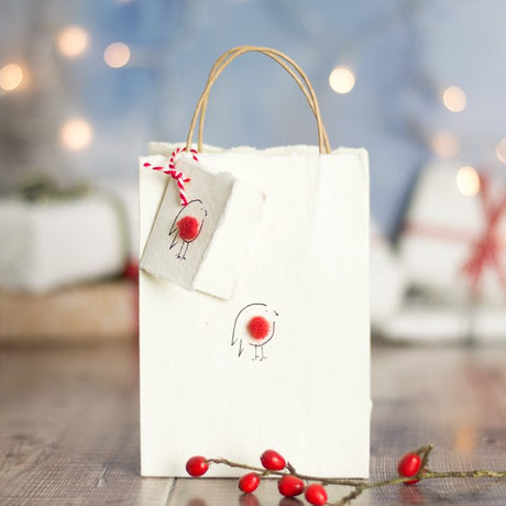 Robin Christmas gift bag, small