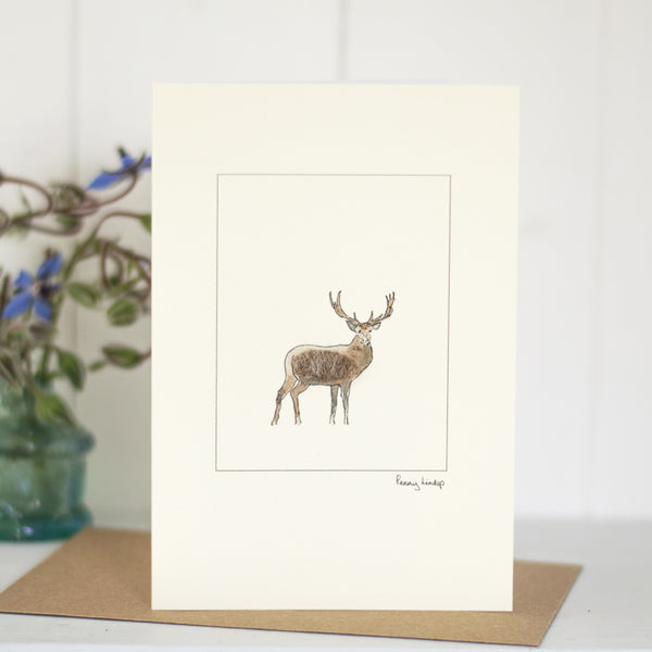 Stag greetings card