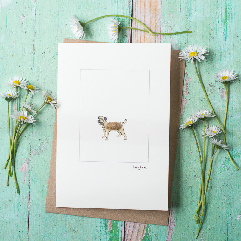 Border Terrier greetings card