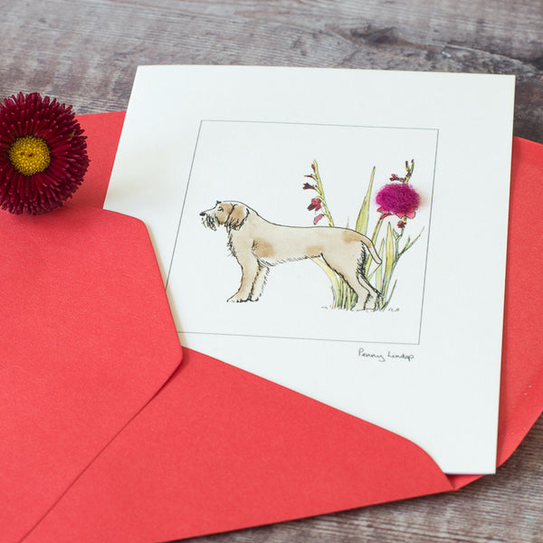 Italian Spinone & Flowers greetings card