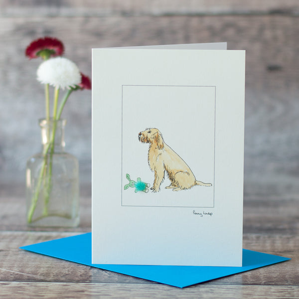 Italian Spinone with toy greetings card