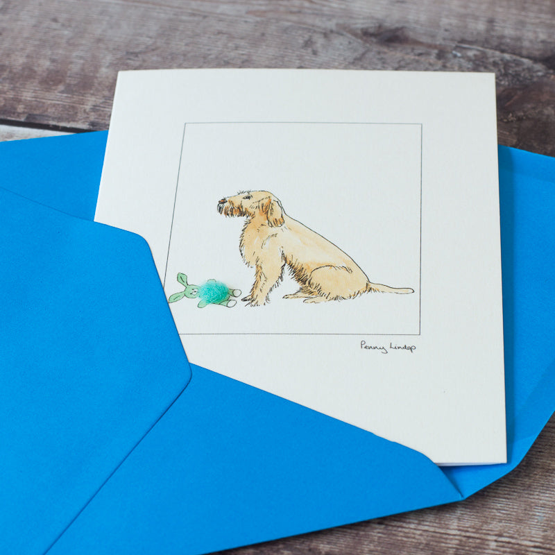 Italian Spinone with toy greetings card