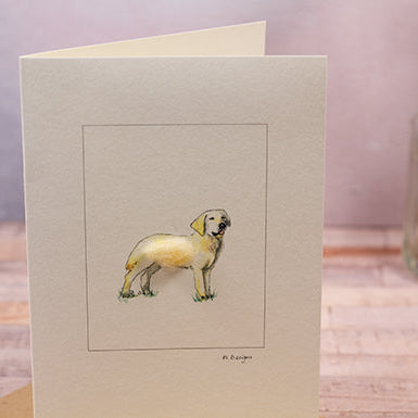 Golden Labrador greetings card