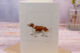 Spaniel greetings card