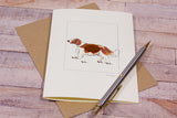 Spaniel greetings card