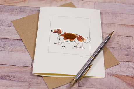 Spaniel greetings card