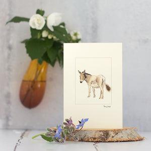 Donkey greetings card