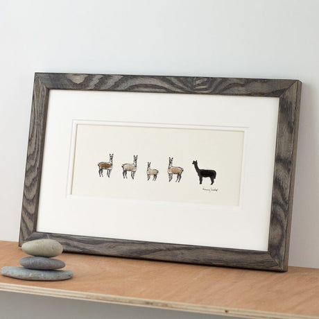 Alpaca bespoke Print, 5 in a row