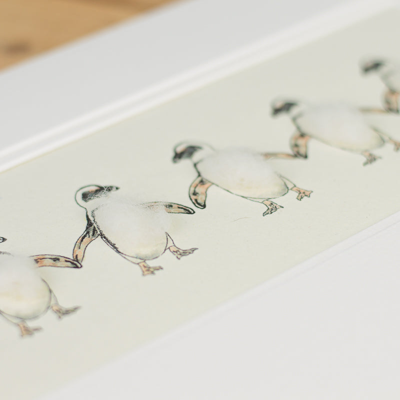 Penguins bespoke print - 5 Jackass penguins in a row