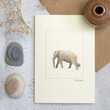 Elephant greetings card