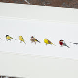 Garden Birds Print - Long