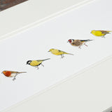 Garden Birds Print - Long