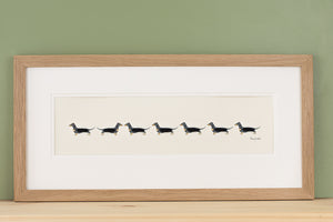 Dachshunds -  Long row of Dachshunds print