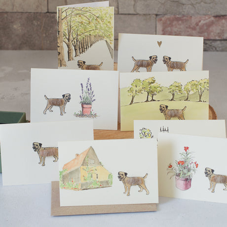 Boxed Collection of Mini Border Terrier cards - 8 cards