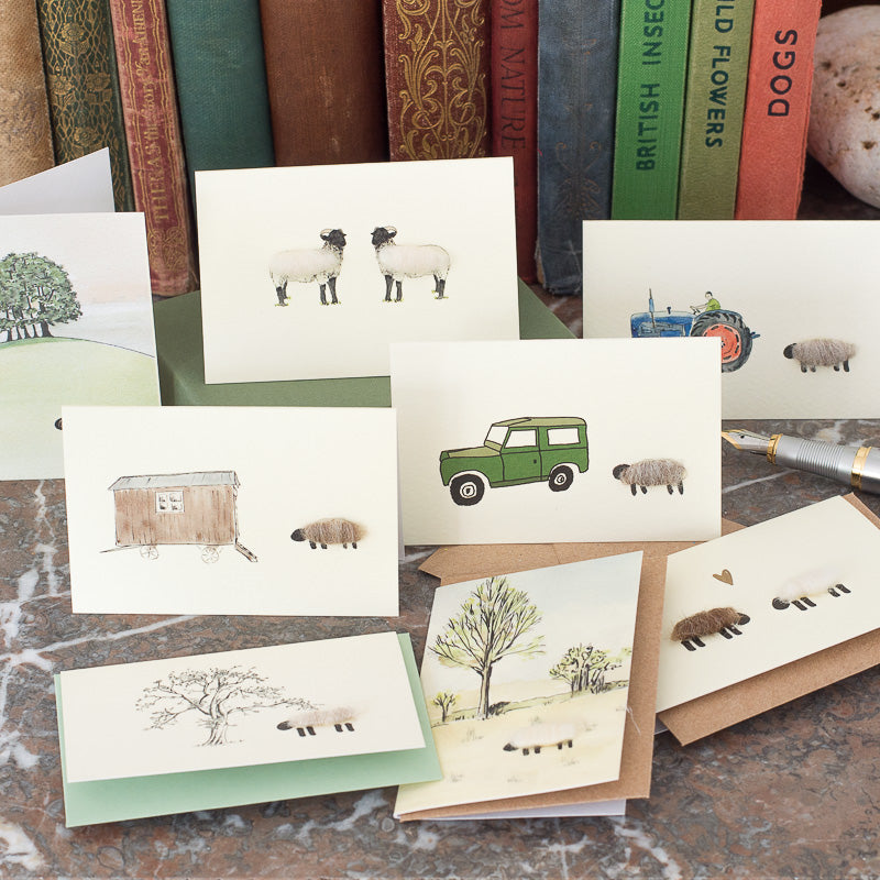 Boxed Collection of Mini Sheep cards - 8 cards