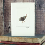 Guinea Fowl greetings card - single guinea fowl