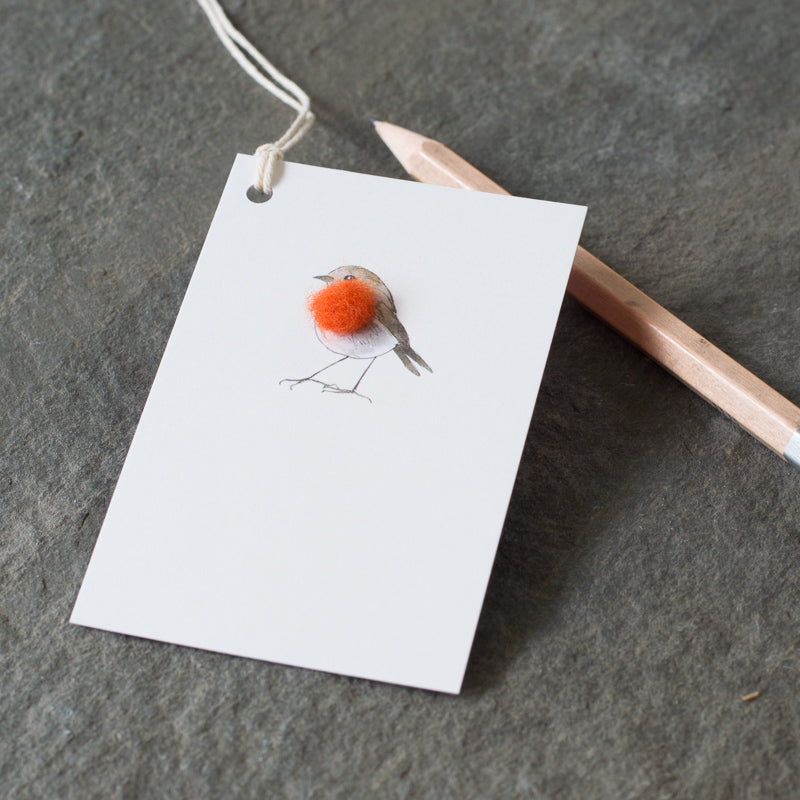 Gift Tags with Robin, pack of 6