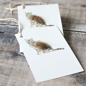 Gift Tags with a  Cat, pack of 6