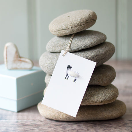 Gift Tags with sheep, pack of 6