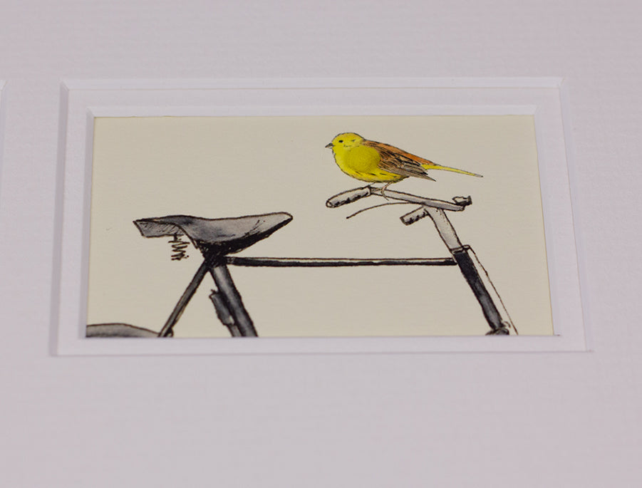 Framed Gift Cards - Garden Birds
