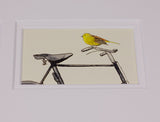 Framed Gift Cards - Garden Birds