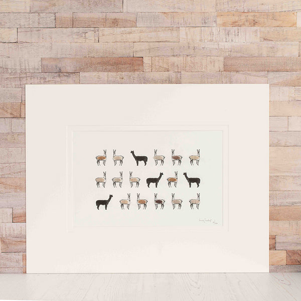 Alpacas Limited Edition Print