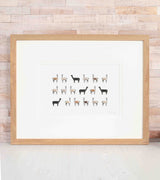 Alpacas Limited Edition Print