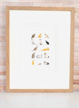 Lots of Cats Limited Edition Print