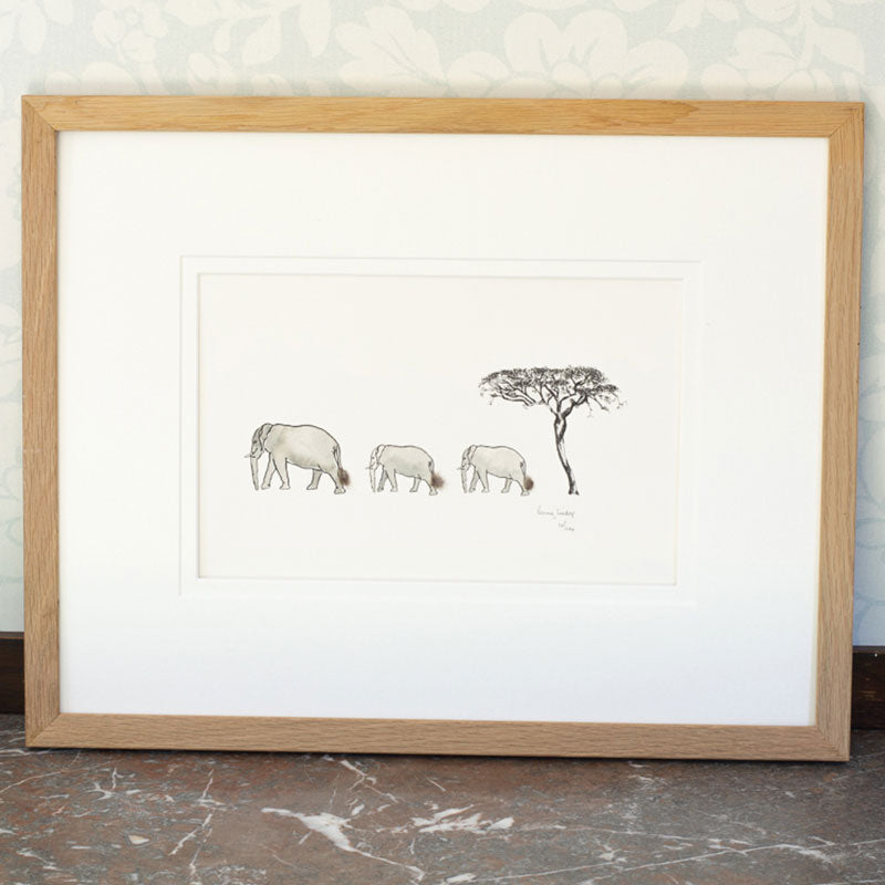Elephant and Acacia Tree Limited Edition Print