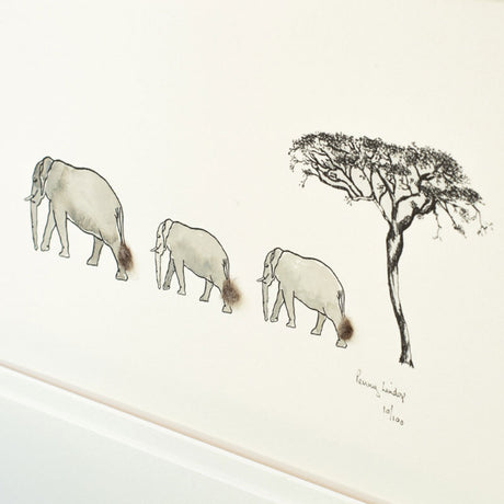 Elephant and Acacia Tree Limited Edition Print