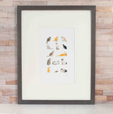 Lots of Cats Limited Edition Print