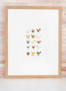 Lots of Chickens Limited Edition Print
