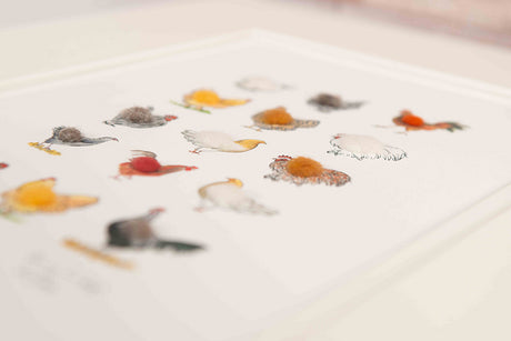 Lots of Chickens Limited Edition Print