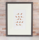 Pheasants Limited Edition Print