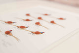 Pheasants Limited Edition Print