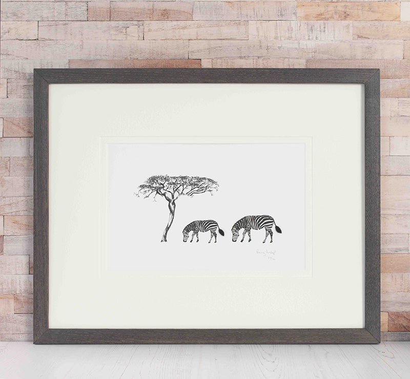 Zebra Limited Edition Print