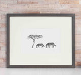 Zebra Limited Edition Print