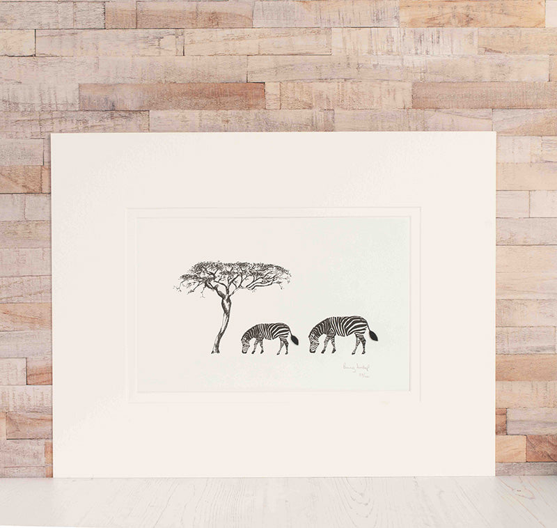 Zebra Limited Edition Print